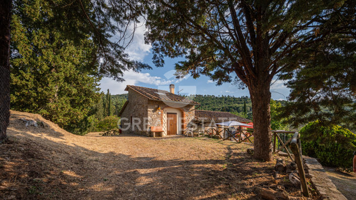 Image No.15-8 Bed Country House for sale