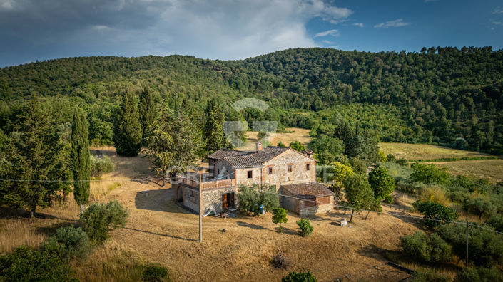 Image No.4-8 Bed Country House for sale