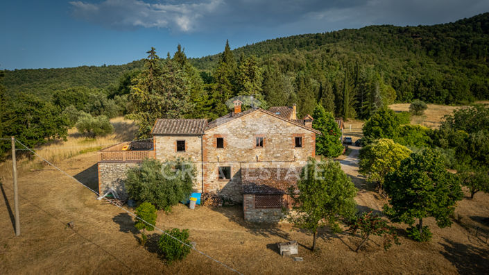 Image No.20-8 Bed Country House for sale