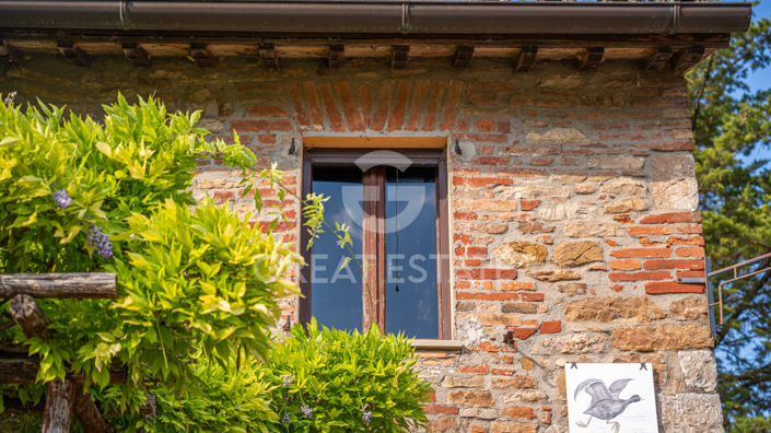Image No.38-8 Bed Country House for sale