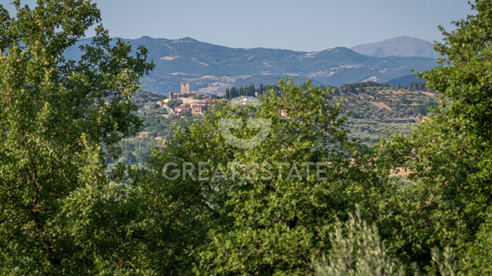Image No.39-8 Bed Country House for sale