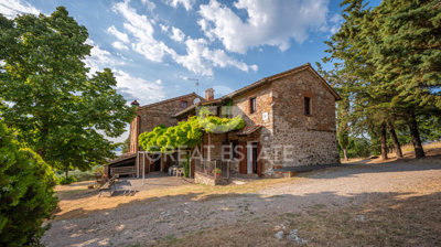 Photo_8