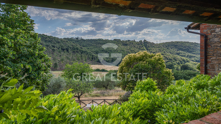 Image No.44-8 Bed Country House for sale