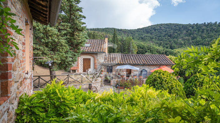 Image No.12-8 Bed Country House for sale