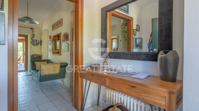 Photo_5