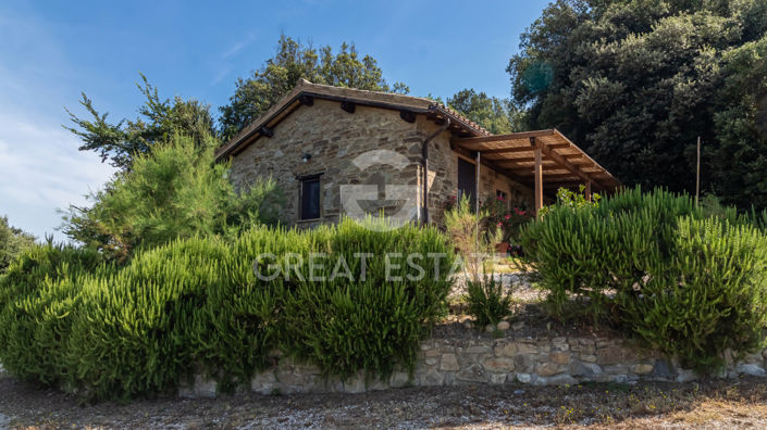 Image No.18-7 Bed Country House for sale
