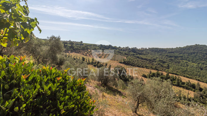 Image No.20-7 Bed Country House for sale