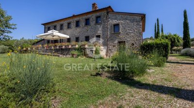Photo_15
