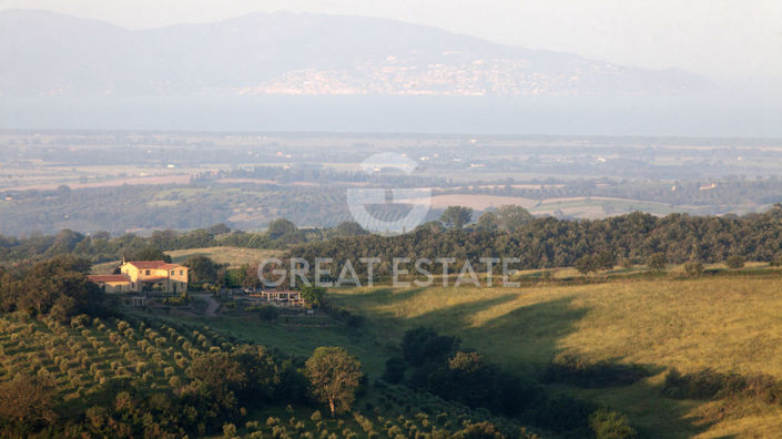 Image No.38-Maison de campagne de 8 chambres à vendre à Magliano in Toscana