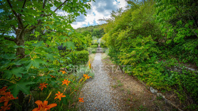 Photo_14