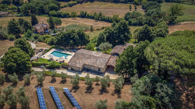Photo_2