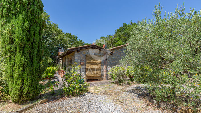 Image No.17-9 Bed Country House for sale