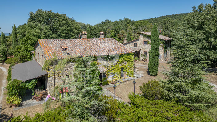 Image No.9-9 Bed Country House for sale