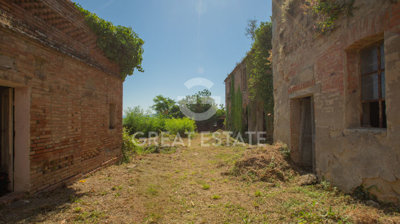 Photo_15