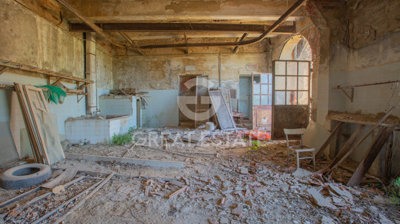 Photo_5