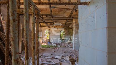 Photo_6