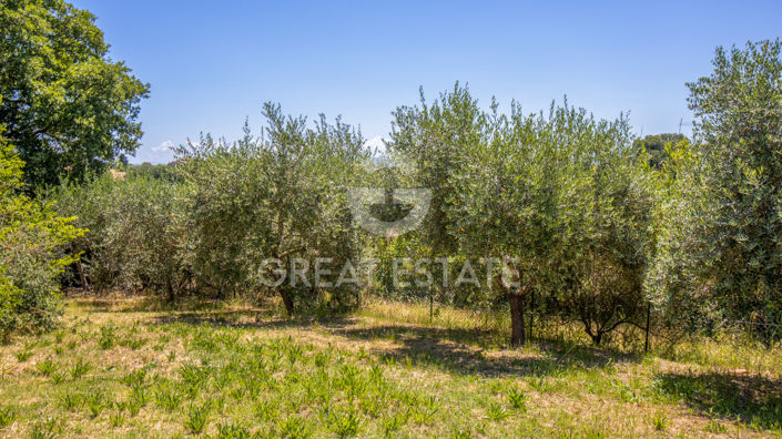 Image No.14-6 Bed Country House for sale
