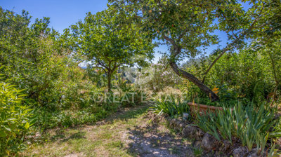 Photo_15