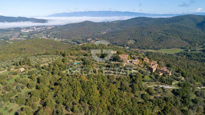 Photo_4