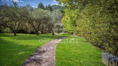 Photo_12