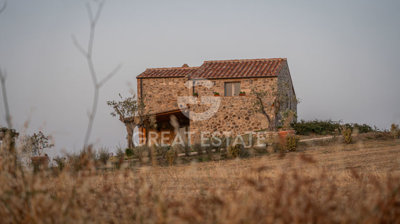 Photo_15