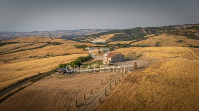 Photo_3