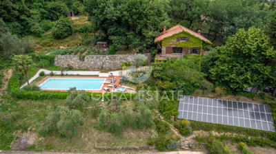 Photo_3