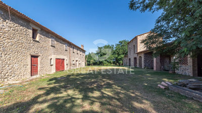 Photo_10