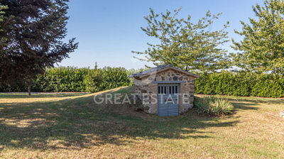 Photo_12