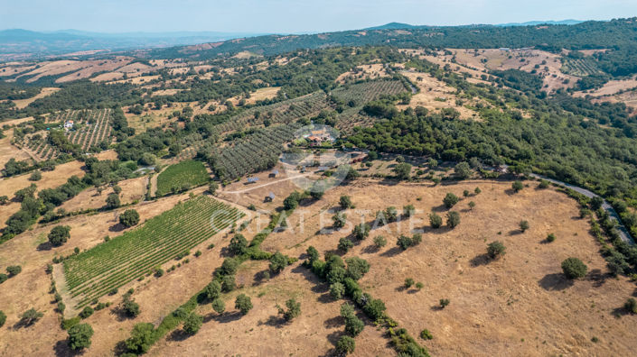 Image No.14-6 Bed Country House for sale