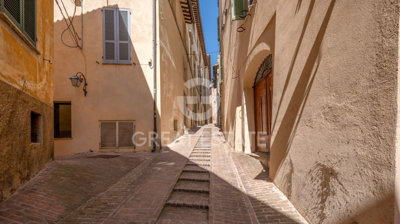 Photo_7