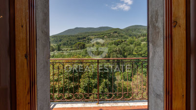 Photo_3