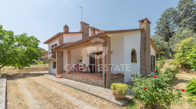 Photo_3