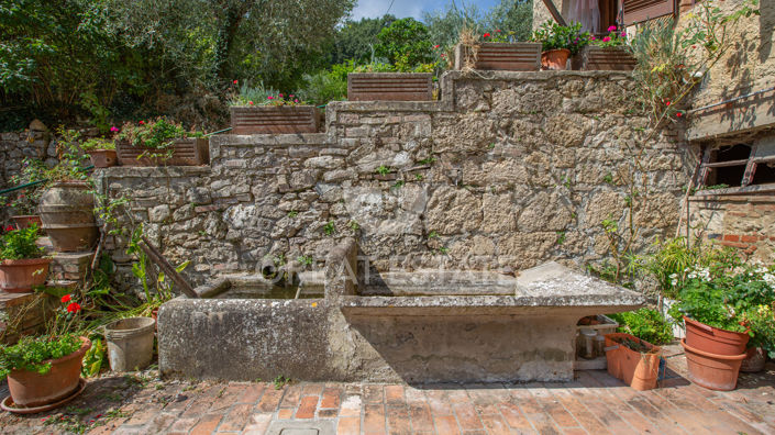 Image No.19-5 Bed Country House for sale
