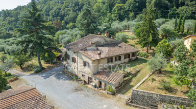 Photo_4