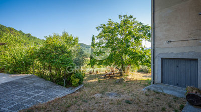Photo_15