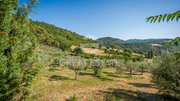 Image No.45-3 Bed Country House for sale