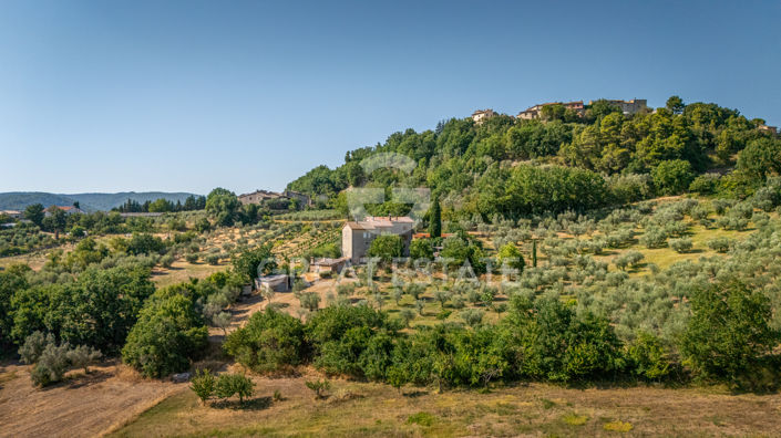 Image No.46-3 Bed Country House for sale
