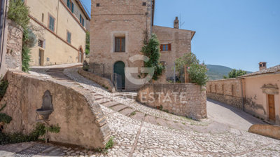 Photo_3