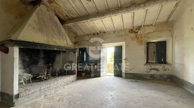 Photo_2