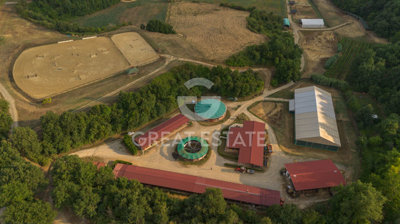 Photo_10