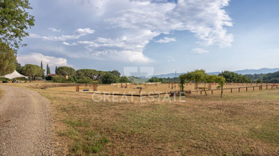 Photo_14