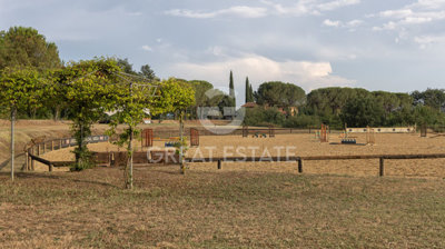 Photo_15