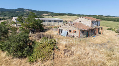 Photo_15