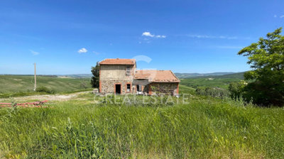 Photo_3