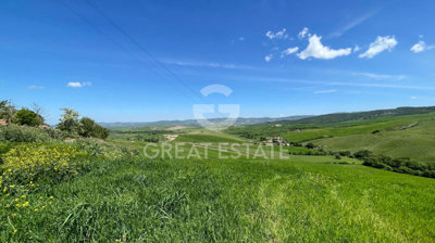 Photo_4