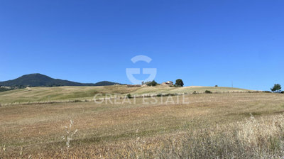 Photo_8