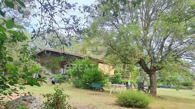 Photo_1