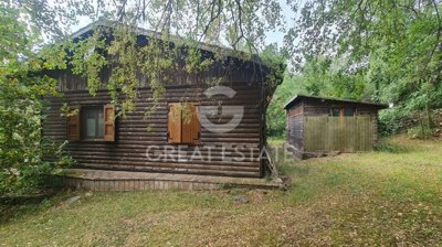 Photo_10
