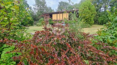 Photo_12